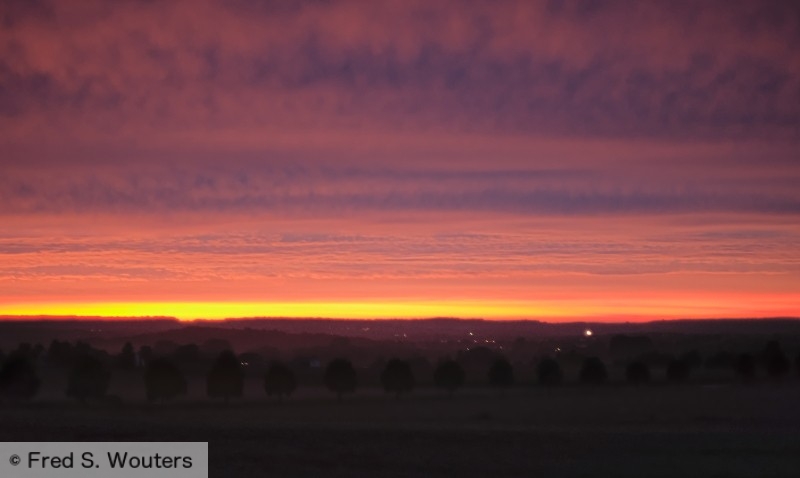 sunset_with_trees